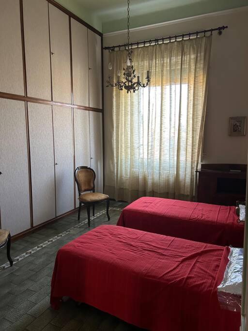 La Finestra Sulle Mura Lucca Exteriér fotografie